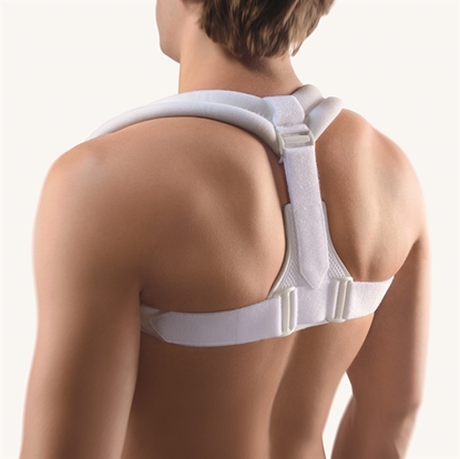 Attēls Clavicle Support (121700)