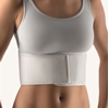 Picture of Rib Belt for Women (102900)