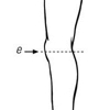Knee Support Basic (8050) attēls